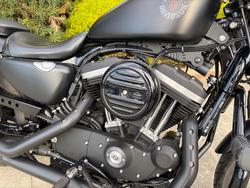 2019 HARLEY-DAVIDSON XL883N IRON 883 Black
