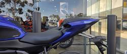 2025 Yamaha YZF-R7 LAMs YZF-R Blue