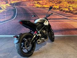 2026 Triumph Trident 660 Trident White