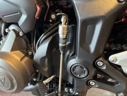 2026 Triumph Trident 660 Trident White