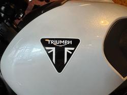 2026 Triumph Trident 660 Trident White