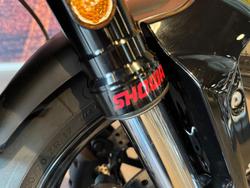 2026 Triumph Trident 660 Trident White