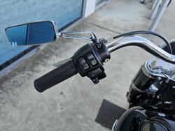 2021 Harley-Davidson Slim 107 (FLSL) Softail Black