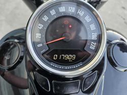 2021 Harley-Davidson Slim 107 (FLSL) Softail Black