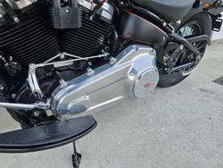 2021 Harley-Davidson Slim 107 (FLSL) Softail Black