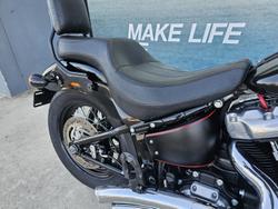 2021 Harley-Davidson Slim 107 (FLSL) Softail Black