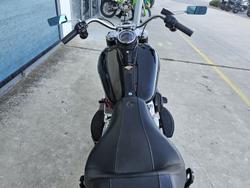 2021 Harley-Davidson Slim 107 (FLSL) Softail Black