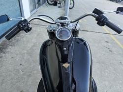 2021 Harley-Davidson Slim 107 (FLSL) Softail Black