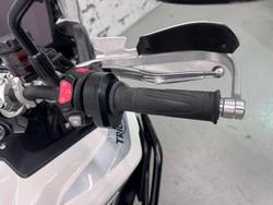 2023 Triumph Tiger 900 GT Pro Tiger White