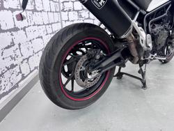 2023 Triumph Tiger 900 GT Pro Tiger White