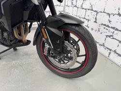 2023 Triumph Tiger 900 GT Pro Tiger White