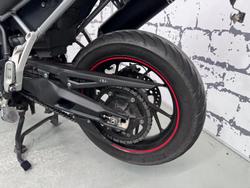 2023 Triumph Tiger 900 GT Pro Tiger White