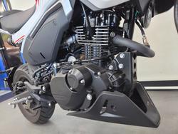 2024 CFMOTO 2024 Cf Moto 125CC XO PAPIO RACER Red