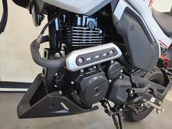 2024 CFMOTO 2024 Cf Moto 125CC XO PAPIO RACER Red