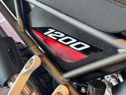 2026 Triumph Tiger 1200 Desert Edition Tiger White