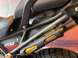 2026 Triumph Tiger 1200 Desert Edition Tiger White