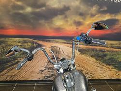 2014 HARLEY-DAVIDSON FXSB SOFTAIL BREAKOUT BLACK