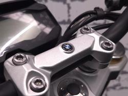 2022 BMW G 310 R G 310 Black
