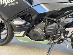 2026 Kawasaki Ninja 500 SE Ninja Beige