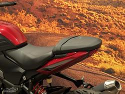 2026 Triumph Trident 800 Trident Red