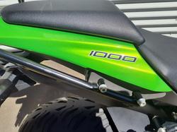2013 Kawasaki Ninja 1000 ABS Ninja Green