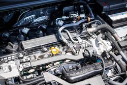 2024 Toyota COROLLA Ascent Sport