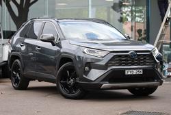 2020 Toyota RAV4 Cruiser