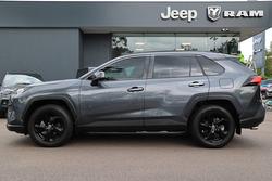 2020 Toyota RAV4 Cruiser