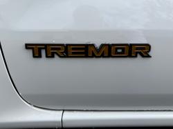 2025 FORD EVEREST EVEREST,2026.00,SUV,TREMOR,4x4,3.0L V6 DSL,10 SPD AUTO ARCTIC WHITE
