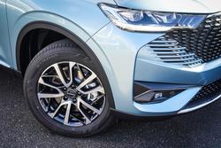 2025 GWM
H6
