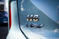 2025 GWM
H6