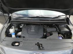 2015 Kia Carnival Platinum