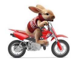 2026 Honda CRF50F Red