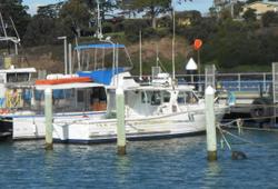 Steber Fishing Boat