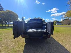 2025 GWM CANNON ALPHA ULTRA