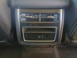 2025 GWM CANNON ALPHA ULTRA