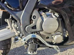 2024 Honda  CRF300LR Rally Red