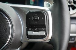 2025 GWM GWM TANK 300