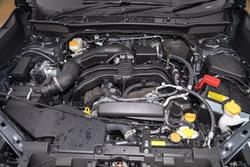 2024 Subaru
                FORESTER 