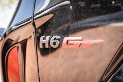 2025 GWM
                H6