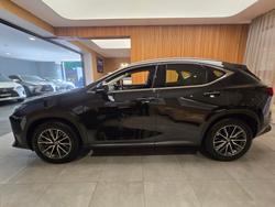 2025 Lexus NX350H Luxury 2WD