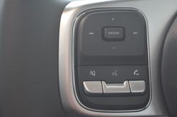 2025 GWM
Tank 300 Ultra