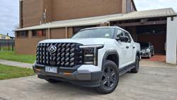 LDV Terron 9