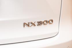 2017 Lexus NX300 Luxury 2.0L Turbo Automatic Wagon