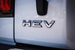 2023 GWM GWM TANK 300