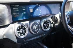 2023 GWM GWM TANK 300