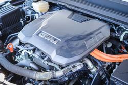 2023 GWM GWM TANK 300