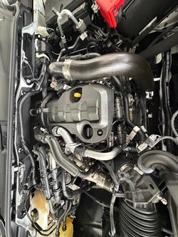 2024 Ford Everest Trend