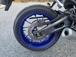 2022 Honda  YZFR7 LAMS Blue