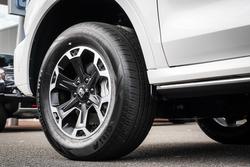 2025 GWM GWM TANK 500